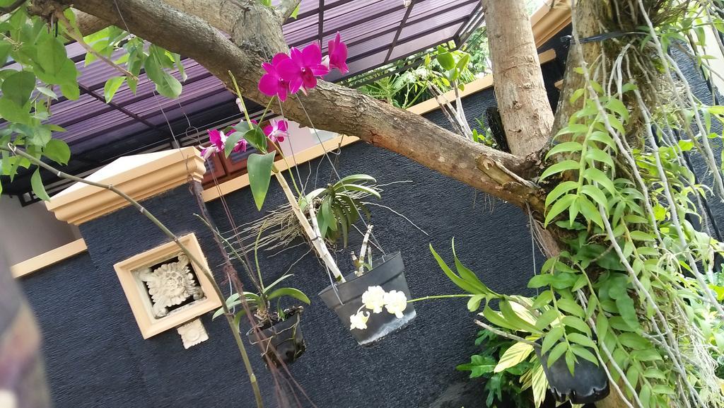 Roemah Canting Homestay Yogyakarta Exterior foto